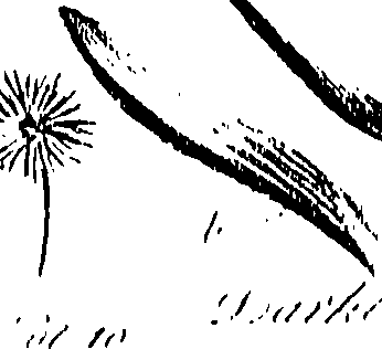 099/099310011000770_0.png