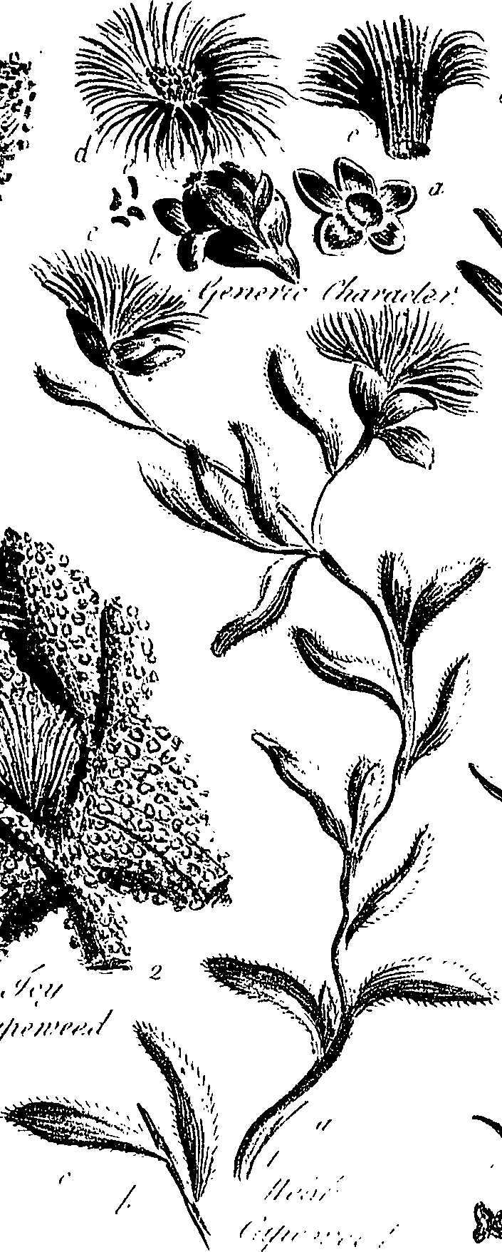099/099310011000770_1.png