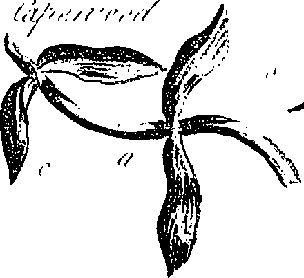 099/099310011000780_0.png