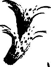 099/099310011000800_1.png