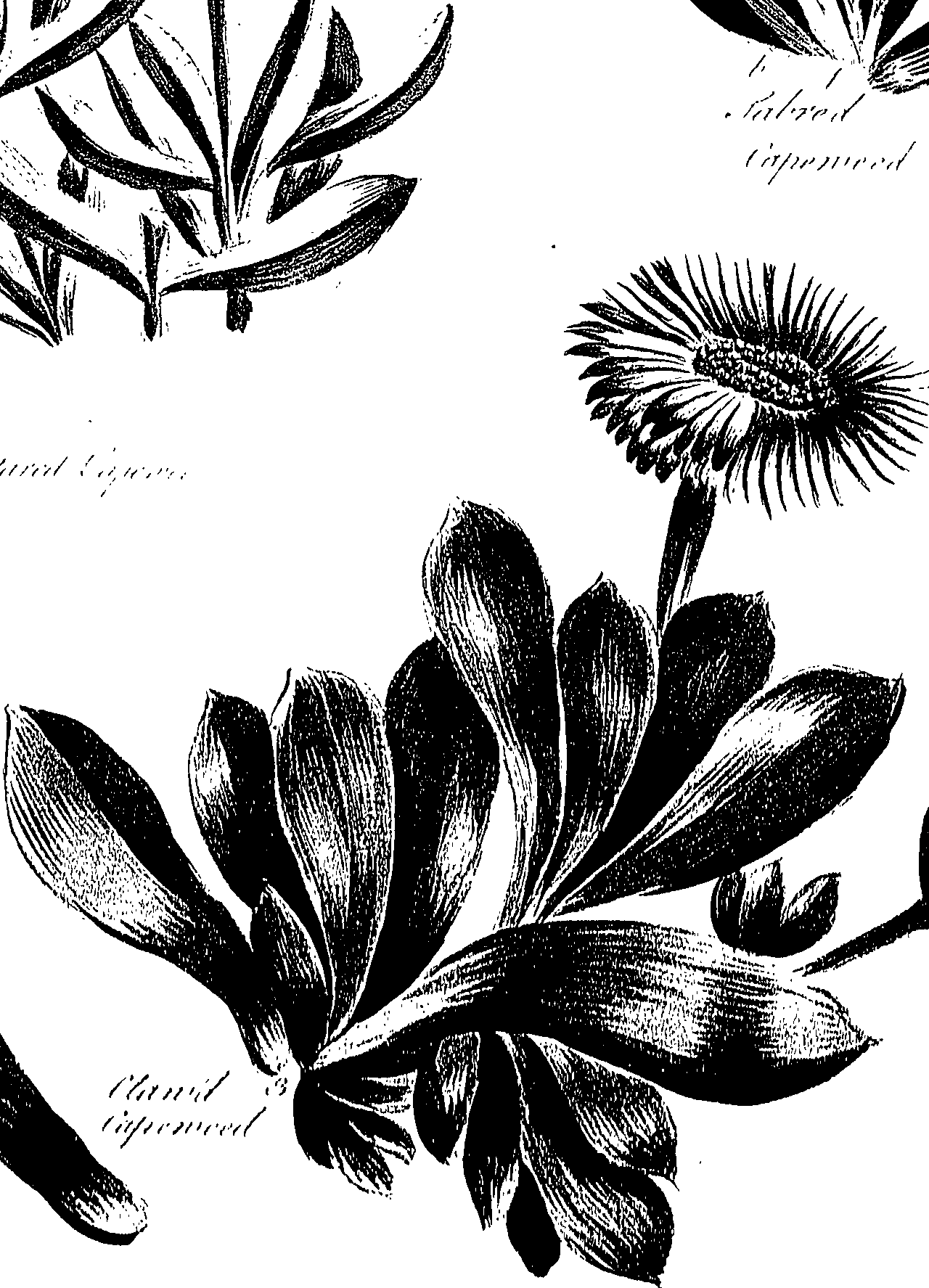 099/099310011000820_0.png