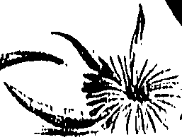 099/099310011000840_0.png