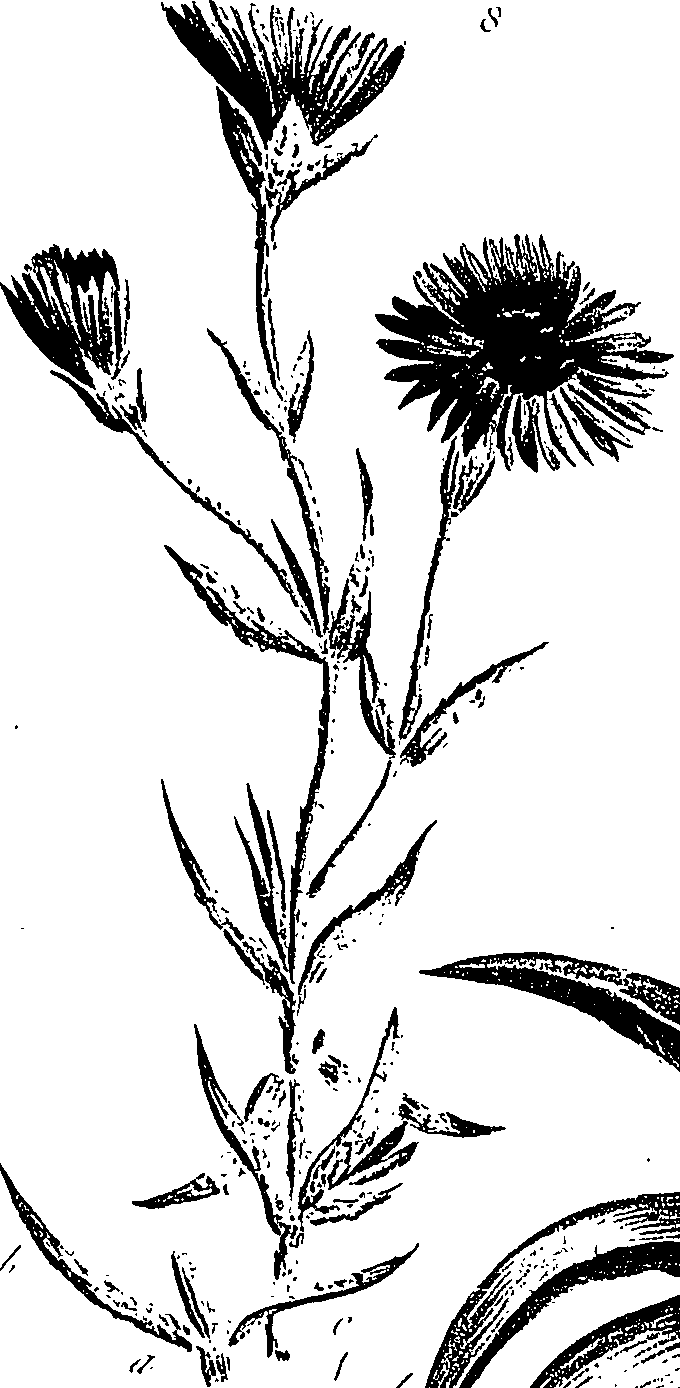 099/099310011000840_2.png