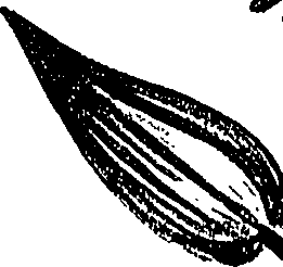 099/099310011000850_1.png