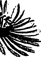 099/099310011000850_2.png
