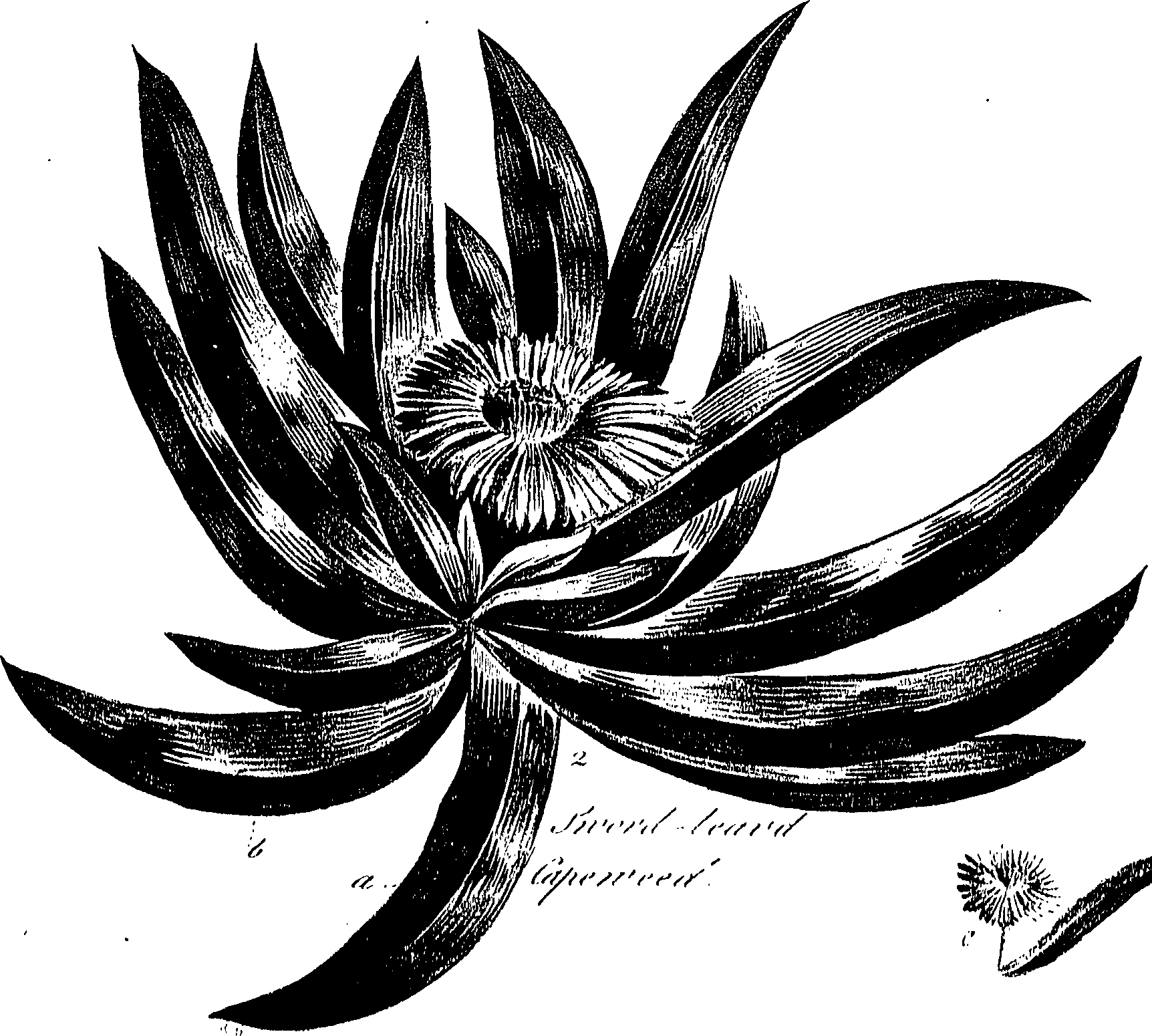 099/099310011000860_0.png