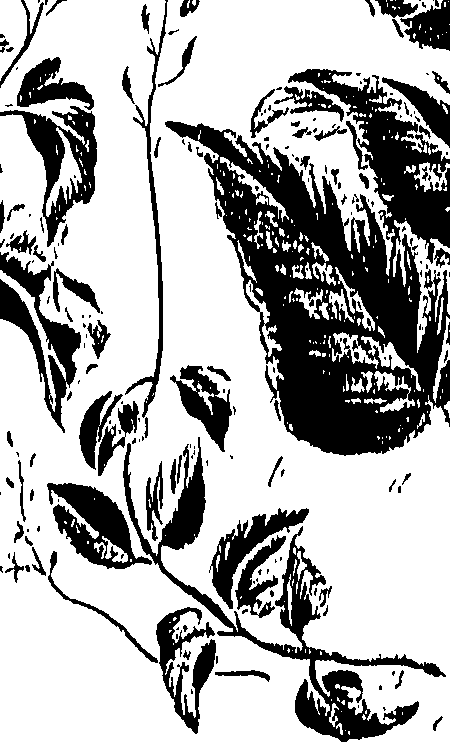 099/099310011000870_0.png
