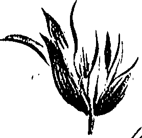 099/099310011000880_0.png