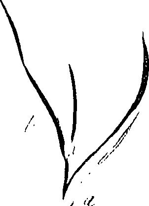 099/099310011000880_1.png
