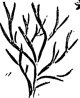099/099310011000930_0.png