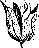 099/099310011000960_1.png