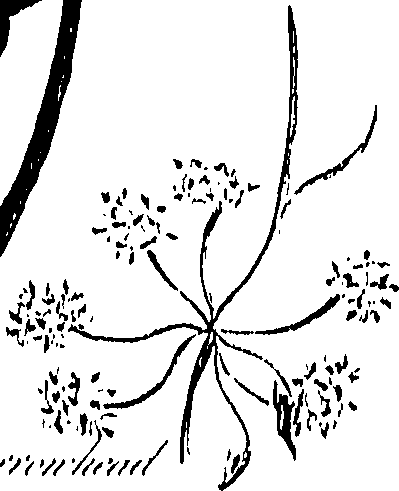 099/099310011000970_0.png