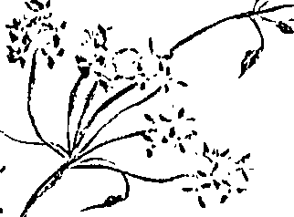 099/099310011000970_2.png