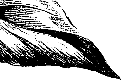 099/099310011000970_4.png