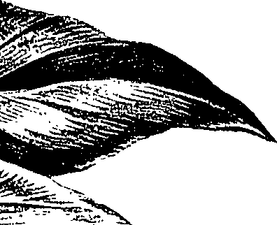 099/099310011000970_5.png