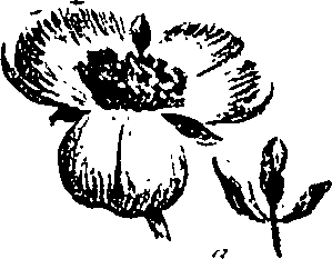 099/099310011000970_6.png