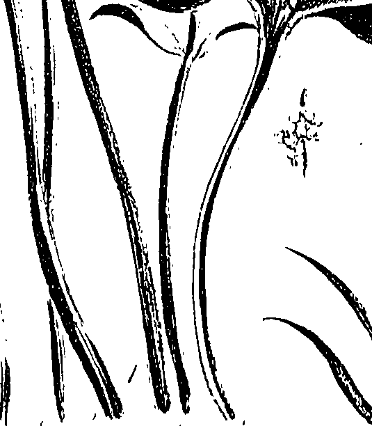 099/099310011000990_2.png