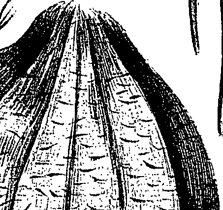 099/099310011000990_3.png