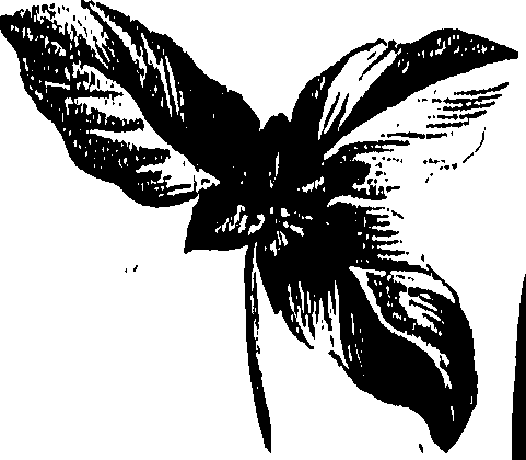 099/099310011001000_0.png