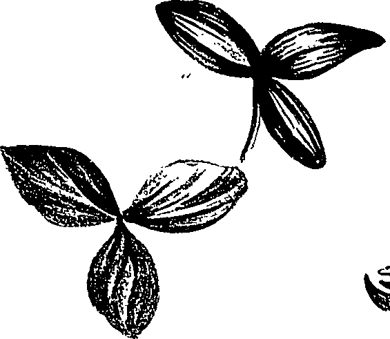 099/099310011001000_1.png