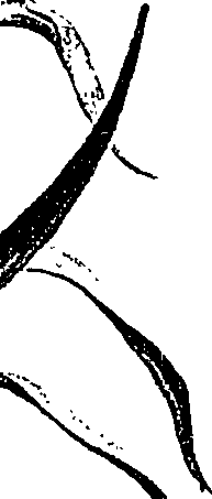 099/099310011001010_0.png