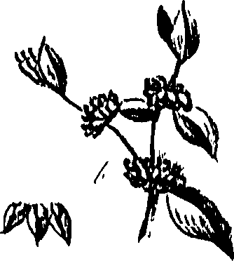 099/099310011001030_0.png