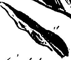 099/099310011001040_0.png