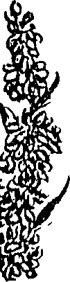 099/099310011001040_1.png