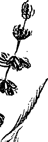 099/099310011001050_1.png