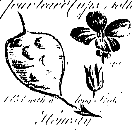 099/099310011001100_0.png