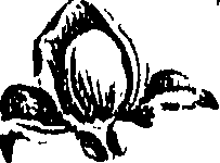 099/099310011001100_1.png