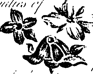 099/099310011001100_2.png