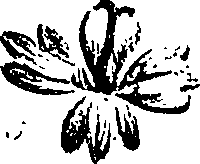 099/099310011001100_4.png