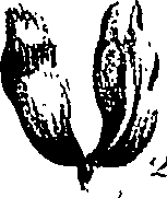 099/099310011001100_5.png
