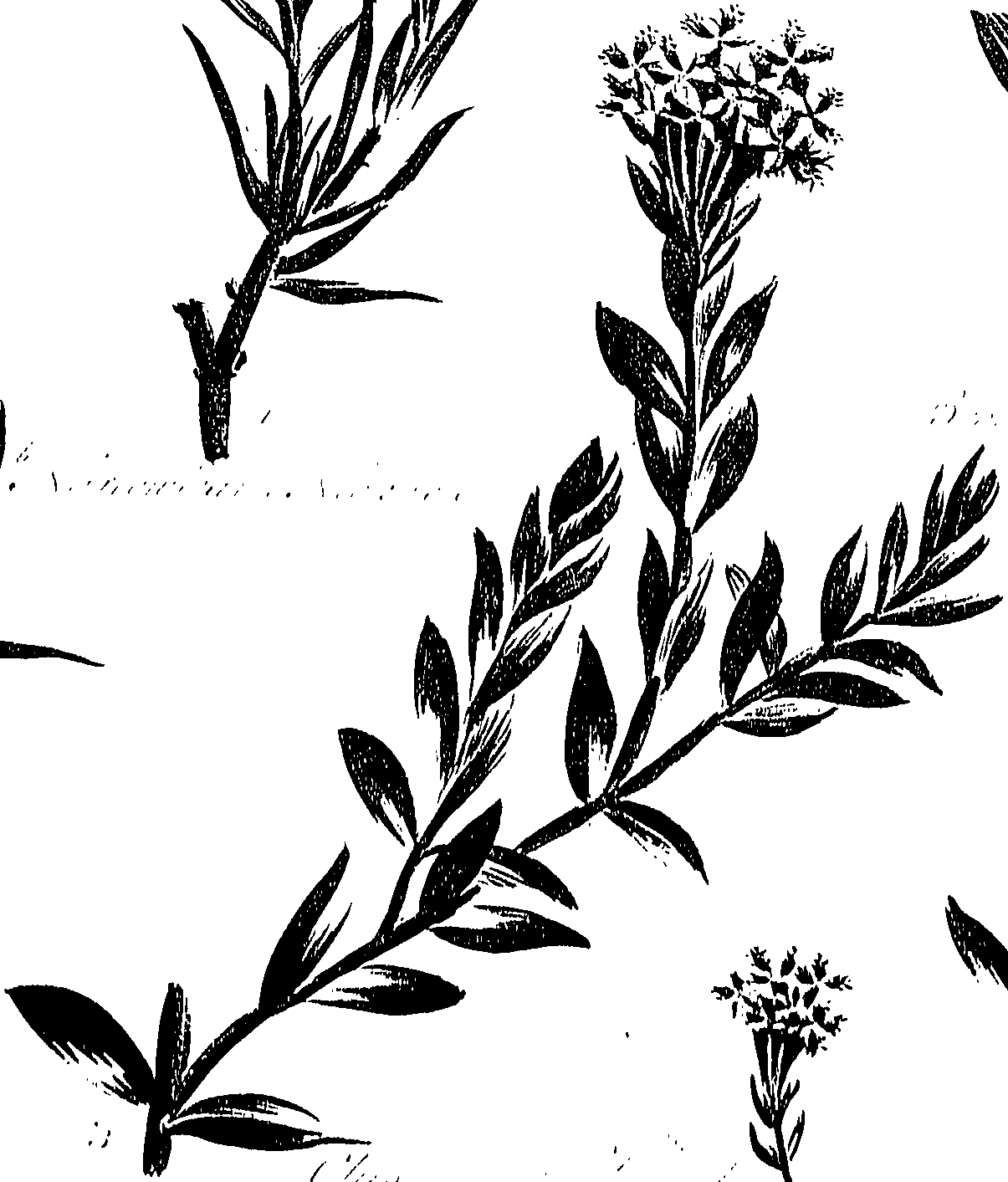 099/099310011001110_0.png