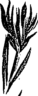 099/099310011001110_1.png