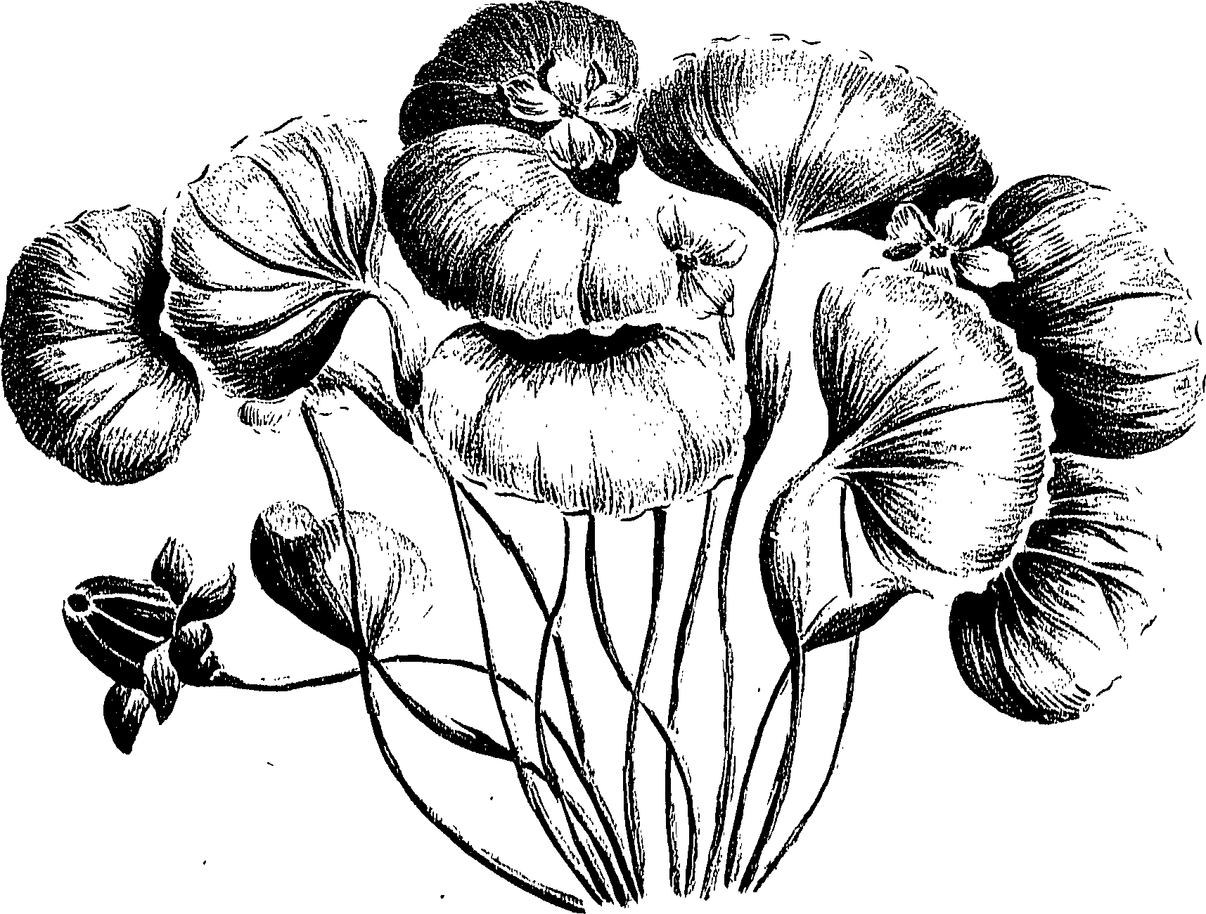099/099310011001120_0.png