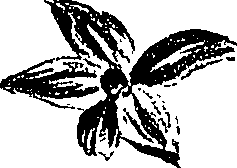 099/099310011001120_1.png