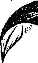 099/099310011001130_0.png