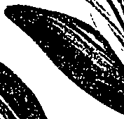 099/099310011001130_1.png