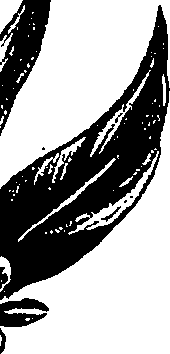 099/099310011001130_2.png