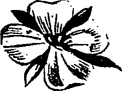 099/099310011001130_3.png
