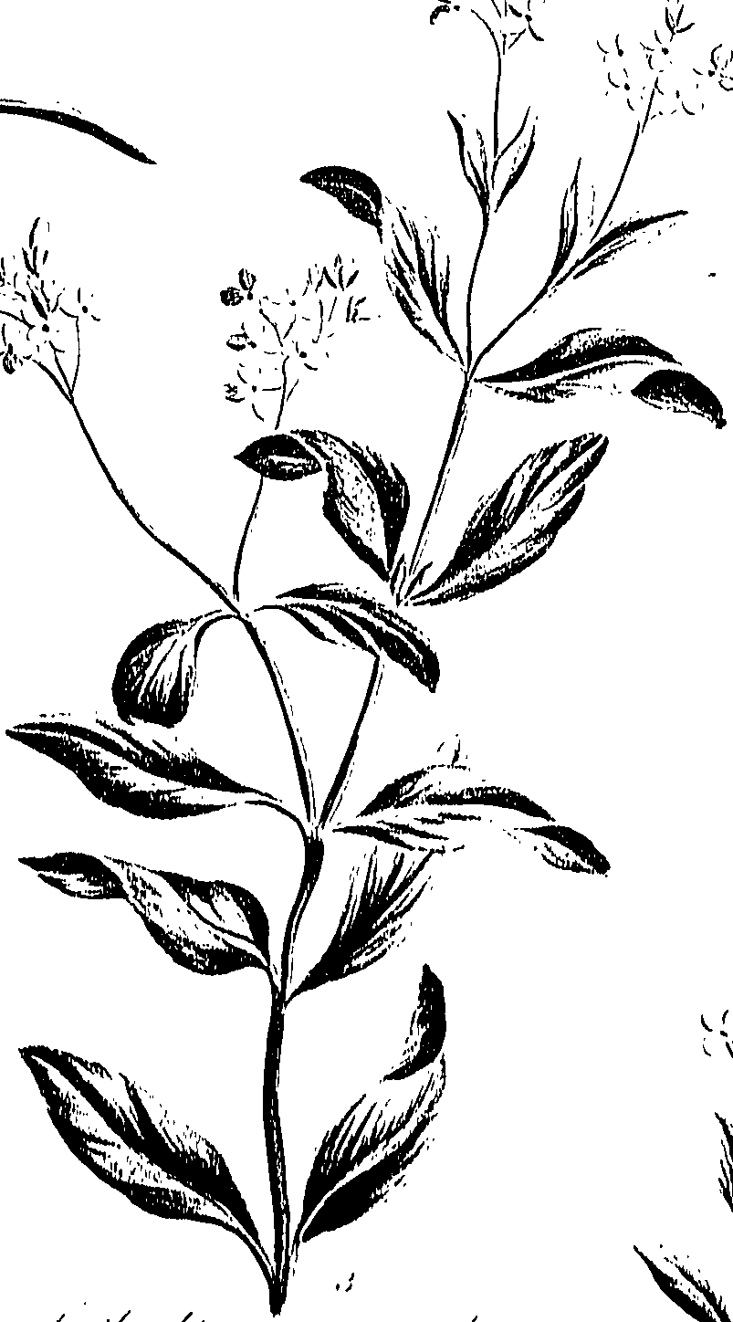 099/099310011001150_0.png
