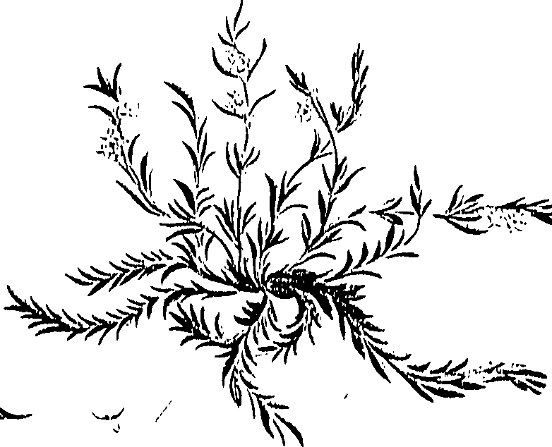 099/099310011001170_0.png