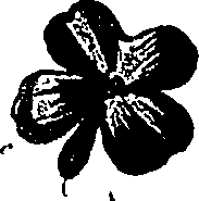 099/099310011001180_0.png