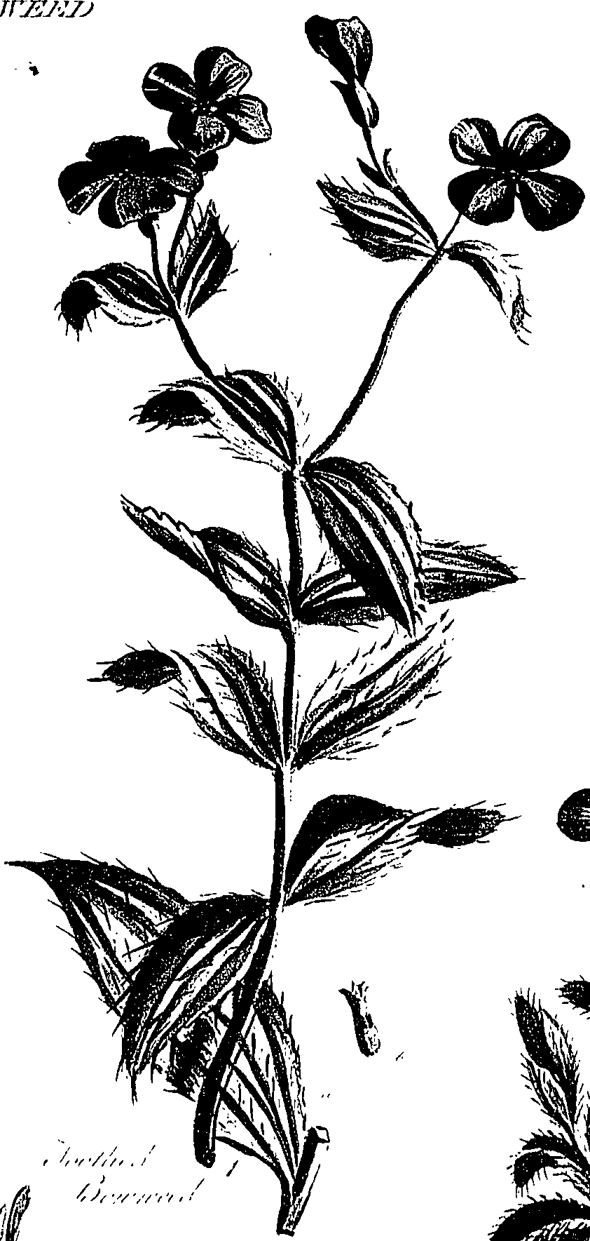 099/099310011001180_1.png