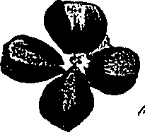 099/099310011001180_2.png