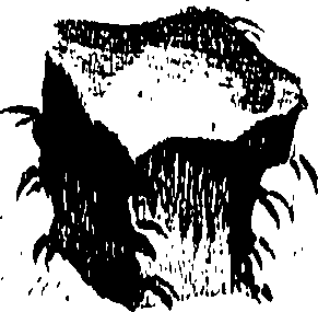 099/099310011001190_0.png