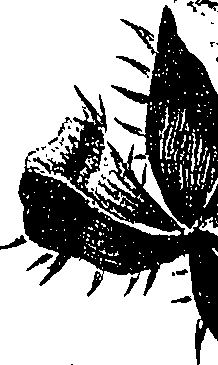 099/099310011001190_1.png