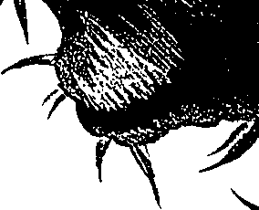 099/099310011001190_2.png